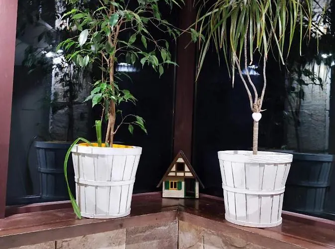 Famil - Adults Only 반스코