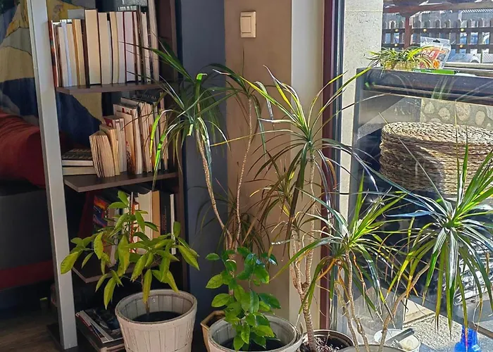 Famil - Adults Only 호텔 반스코